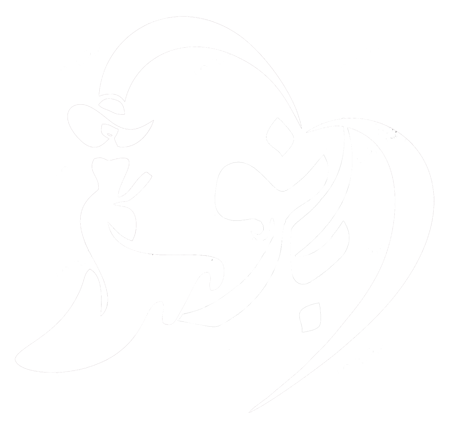 پوشاک دل بانو